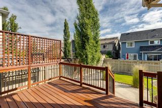 Photo 43: 72 Mahogany Terrace SE in Calgary: Mahogany Detached for sale : MLS®# A1239360
