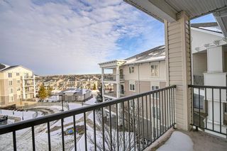 Photo 46: 2413 333 Taravista Drive NE in Calgary: Taradale Apartment for sale : MLS®# A2015874