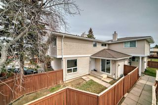 Photo 43: 29 1155 Falconridge Drive NE in Calgary: Falconridge Row/Townhouse for sale : MLS®# A2120793