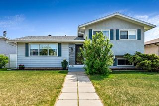 Main Photo: 347 Penworth Way SE in Calgary: Penbrooke Meadows Detached for sale : MLS®# A2049638