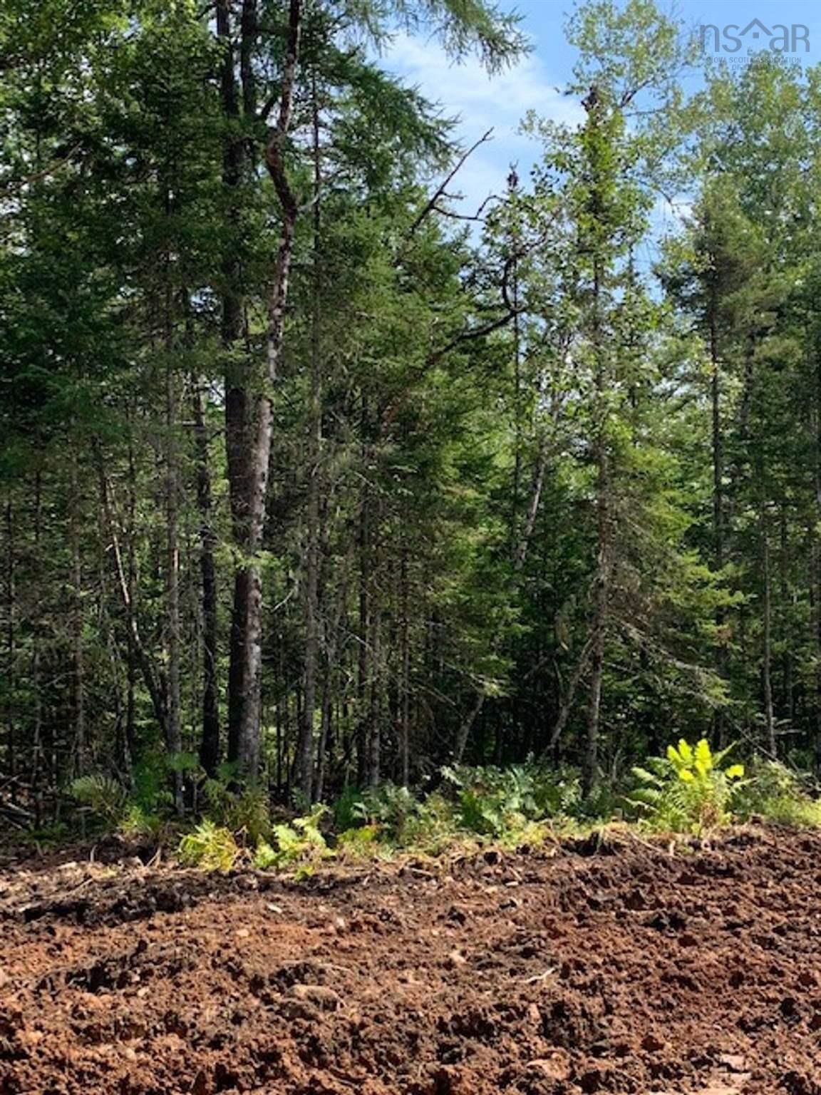 Main Photo: Lot 15 Fairway Avenue in Shubenacadie East: 105-East Hants/Colchester West Vacant Land for sale (Halifax-Dartmouth)  : MLS®# 202122115