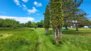 Photo 12: Acreage Aldershot Road in North Kentville: Kings County Vacant Land for sale (Annapolis Valley)  : MLS®# 202412443