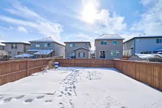 Photo 47: 55 Walden Court SE in Calgary: Walden Detached for sale : MLS®# A2031648