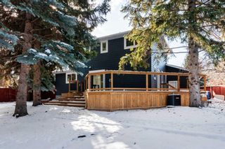 Photo 33: 1028 Kildonan Place SW in Calgary: Kelvin Grove Detached for sale : MLS®# A2110884