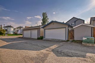 Photo 33: 6 Bridlewood Manor SW in Calgary: Bridlewood Detached for sale : MLS®# A2051369