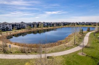 Photo 50: 168 Kinniburgh Loop: Chestermere Detached for sale : MLS®# A2131016