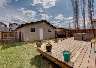 Photo 3: 71 Elgin View SE in Calgary: McKenzie Towne Detached for sale : MLS®# A1213302