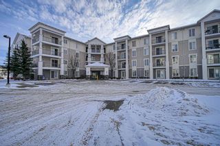 Photo 1: 2413 333 Taravista Drive NE in Calgary: Taradale Apartment for sale : MLS®# A2015874