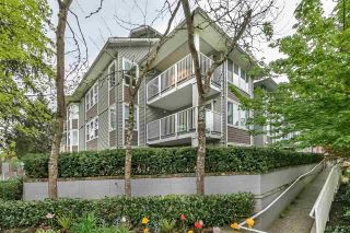 Photo 17: 104 2268 WELCHER Avenue in Port Coquitlam: Central Pt Coquitlam Condo for sale in "Sagewood" : MLS®# R2263665