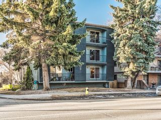 Photo 3: 202 1603 26 Avenue SW in Calgary: South Calgary Apartment for sale : MLS®# A1100163