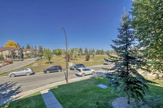 Photo 17: 212 2 Hemlock Crescent SW in Calgary: Spruce Cliff Apartment for sale : MLS®# A2080413