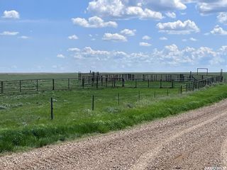 Photo 38: Rapley Ranch & Arena in Lone Tree: Farm for sale (Lone Tree Rm No. 18)  : MLS®# SK932414
