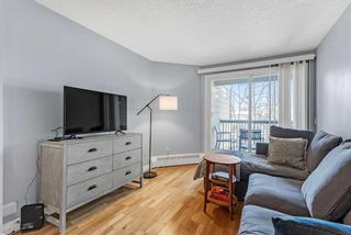 Photo 6: 307 60 38A Avenue SW in Calgary: Parkhill Apartment for sale : MLS®# A2119005