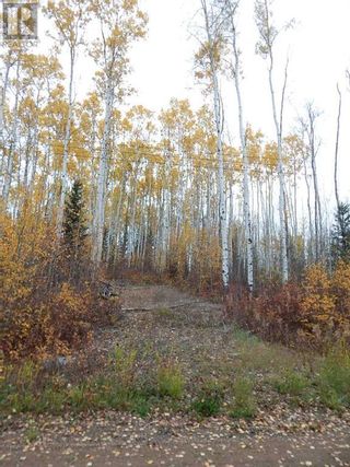 Photo 1: 54 Tugate Drive in Rural Mackenzie County: Vacant Land for sale : MLS®# A2050673