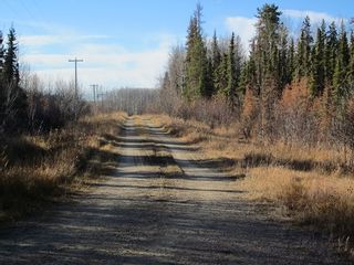 Photo 17: NW 24-54 RR 131: Niton Junction Rural Land for sale (Edson)  : MLS®# 32590