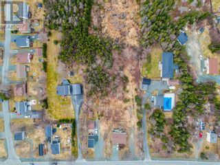 Photo 5: 1080 Conception Bay Highway in Town of Conception Bay South: Vacant Land for sale : MLS®# 1257455