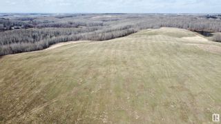 Photo 13: 53327 RGE RD 15: Rural Parkland County Rural Land/Vacant Lot for sale : MLS®# E4291341