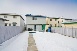 Photo 29: 32 Martin Crossing Crescent NE in Calgary: Martindale Detached for sale : MLS®# A1106021