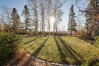 Photo 10: 163 Quesnell Crescent NW: Edmonton House for sale