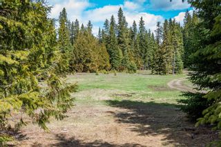 Photo 13: 14525 Three Forks Road, in Kelowna: Vacant Land for sale : MLS®# 10251977