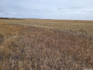 Photo 2: Unity 318 acres Grain and Pastureland in Round Valley: Farm for sale (Round Valley Rm No. 410)  : MLS®# SK951365