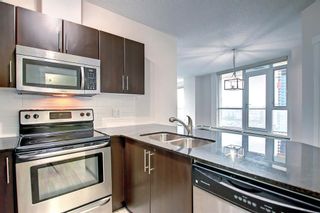 Photo 11: 1604 325 3 Street SE in Calgary: Downtown East Village Apartment for sale : MLS®# A2022146