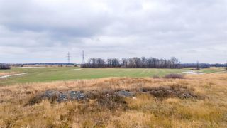 Photo 2: 0 #56 REGIONAL Road in Hamilton: Vacant Land for sale : MLS®# H4154347
