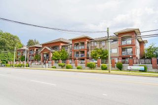 Photo 3: 215 19774 56 Avenue in Langley: Langley City Condo for sale in "Madison Station" : MLS®# R2584575