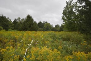 Photo 20: Lot 5 No 12 Highway in Murphy Lake: Kings County Vacant Land for sale (Annapolis Valley)  : MLS®# 202401271