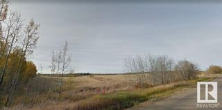 Photo 5: H/W 21 & TWP RD 521: Rural Strathcona County Rural Land/Vacant Lot for sale : MLS®# E4295543