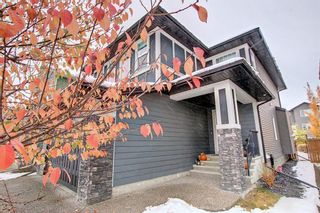 Photo 25: 279 Mountainview Drive: Okotoks Detached for sale : MLS®# A2008170