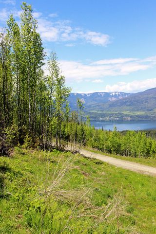 Photo 8: Lot 4 Rose Crescent: Eagle Bay Land Only for sale (South Shuswap)  : MLS®# 10187971