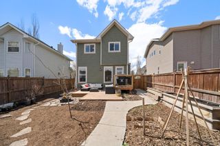Photo 26: 179 Crystal Shores Grove: Okotoks Detached for sale : MLS®# A1215852