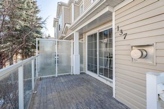 Photo 47: 137 7707 Martha's Haven Park NE in Calgary: Martindale Row/Townhouse for sale : MLS®# A2111057