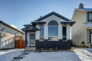 Main Photo: 51 Harvest Rose Circle NE in Calgary: Harvest Hills Detached for sale : MLS®# A2014223