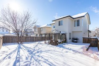 Photo 44: 85 Evansmeade Circle NW in Calgary: Evanston Detached for sale : MLS®# A1067552