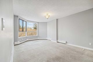 Photo 19: 203 2425 90 Avenue SW in Calgary: Palliser Apartment for sale : MLS®# A2126388