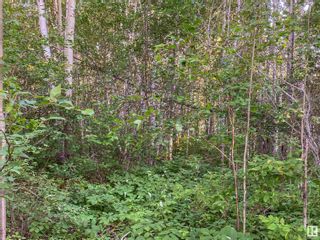 Photo 6: 3, 53424 Rge Rd 60: Rural Parkland County Vacant Lot/Land for sale : MLS®# E4376542