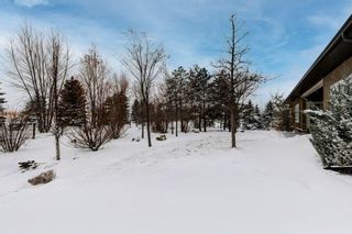 Photo 28: 40251 543 Avenue E: Rural Foothills County Detached for sale : MLS®# A2010401