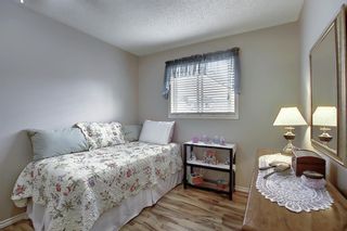 Photo 17: 305 Martinwood Place NE in Calgary: Martindale Detached for sale : MLS®# A1038589