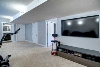 Photo 43: 1235 King's Heights Road SE: Airdrie Detached for sale : MLS®# A2126294
