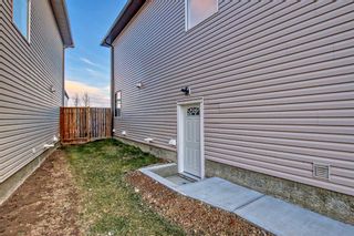 Photo 43: 277 Martin Crossing Place NE in Calgary: Martindale Detached for sale : MLS®# A2109008