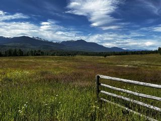 Photo 17: DL 1132 TELKWA HIGH Road in Smithers: Smithers - Rural Land for sale (Smithers And Area)  : MLS®# R2708512