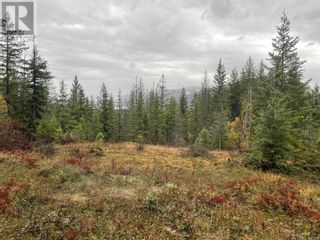 Photo 1: 40 Stoney Road in Enderby: Vacant Land for sale : MLS®# 10288544