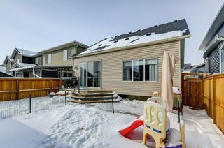Photo 28: 521 Bayside Row SW: Airdrie Detached for sale : MLS®# A2029922