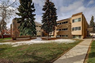 Photo 27: 237 8239 Elbow Drive SW in Calgary: Chinook Park Apartment for sale : MLS®# A2122815