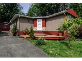Photo 1: 38 10221 WILSON Street in Mission: Stave Falls Manufactured Home for sale in "TRIPLE CREEK ESTATES" : MLS®# F1411178
