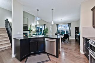 Photo 16: 714 COPPERPOND CI SE in Calgary: Copperfield House for sale : MLS®# C4121728