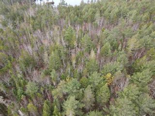 Photo 3: lot 6 Lady Slipper Lane in Mount Uniacke: 105-East Hants/Colchester West Vacant Land for sale (Halifax-Dartmouth)  : MLS®# 202206832