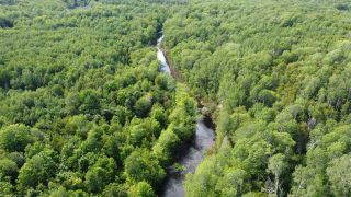 Photo 3: PARCEL A Barneys River Road in Avondale: 108-Rural Pictou County Vacant Land for sale (Northern Region)  : MLS®# 202016062